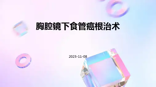 胸腔镜下食管癌根治术
