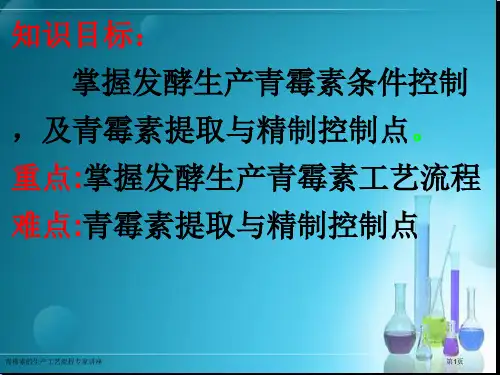 青霉素的生产工艺流程专家讲座