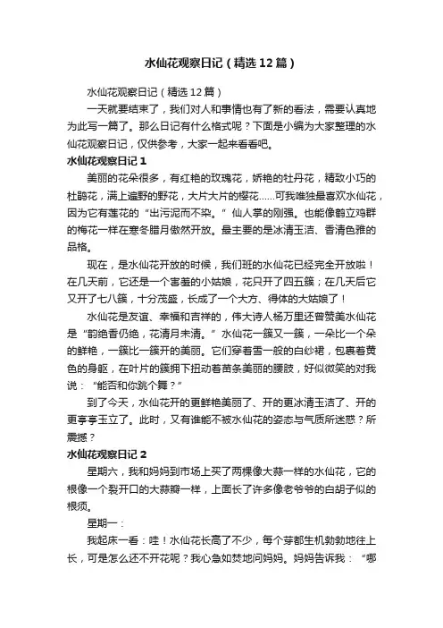 水仙花观察日记（精选12篇）