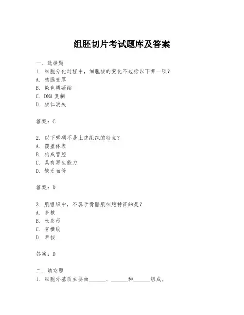 组胚切片考试题库及答案