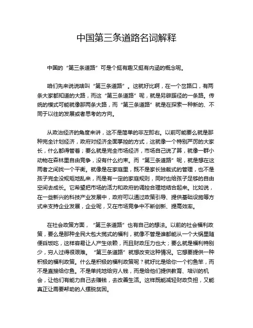 中国第三条道路名词解释