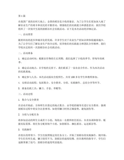 割稻谷社会实践活动(3篇)