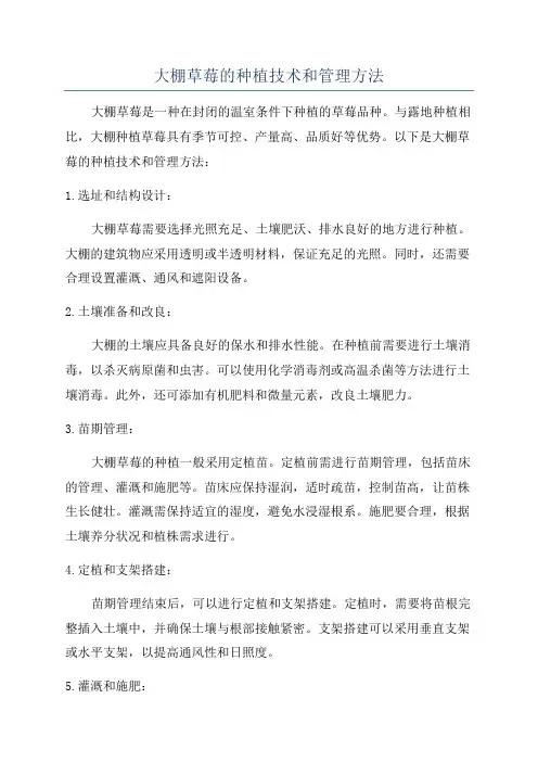 大棚草莓的种植技术和管理方法