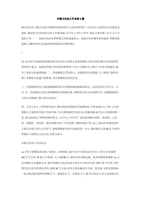乡镇文化站工作总结篇
