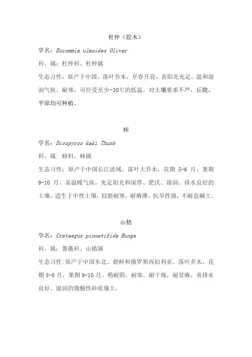 树种简介