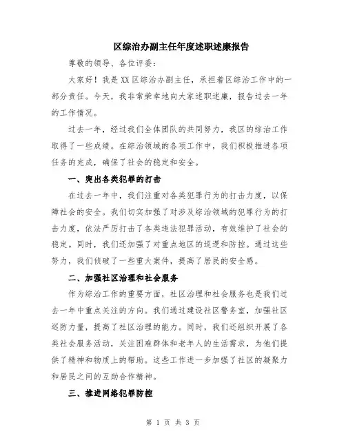 区综治办副主任年度述职述廉报告