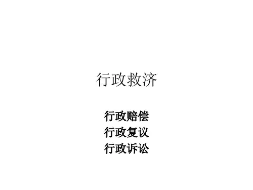 行政救济.pptx
