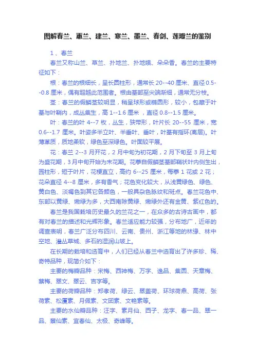 图解春兰、蕙兰、建兰、寒兰、墨兰、春剑、莲瓣兰的鉴别