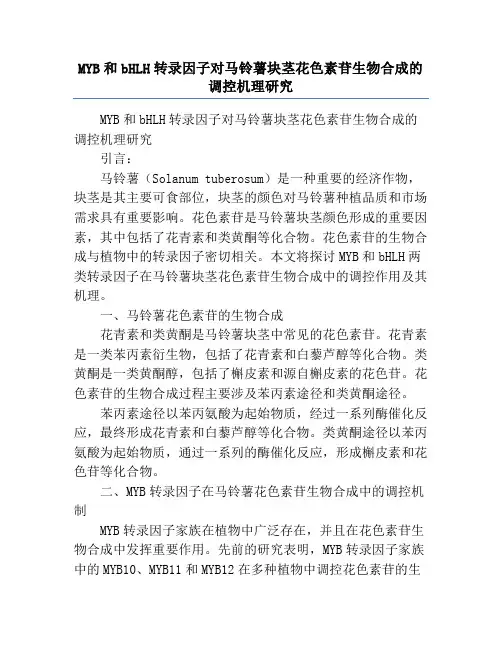 MYB和bHLH转录因子对马铃薯块茎花色素苷生物合成的调控机理研究