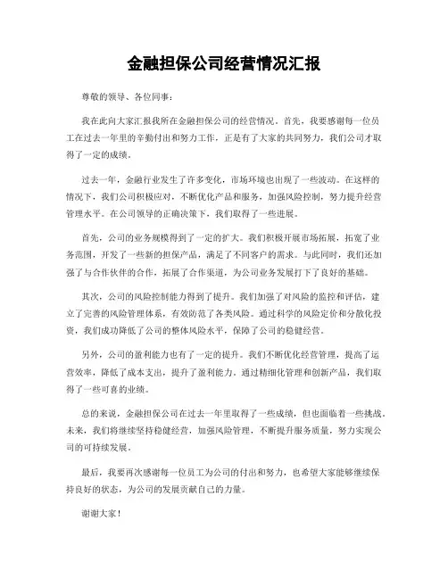 金融担保公司经营情况汇报