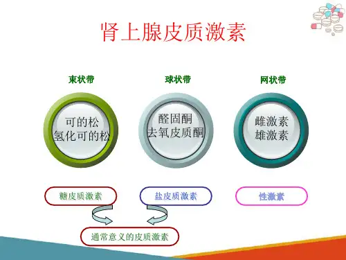 肾上腺皮质激素—糖皮质激素(药理学课件)