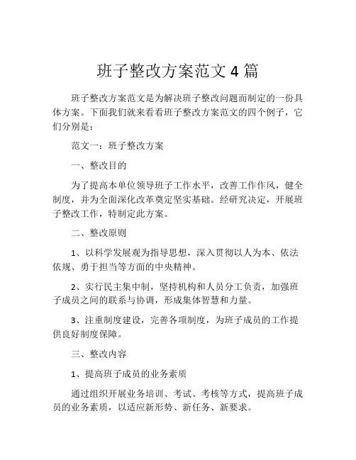 班子整改方案范文4篇