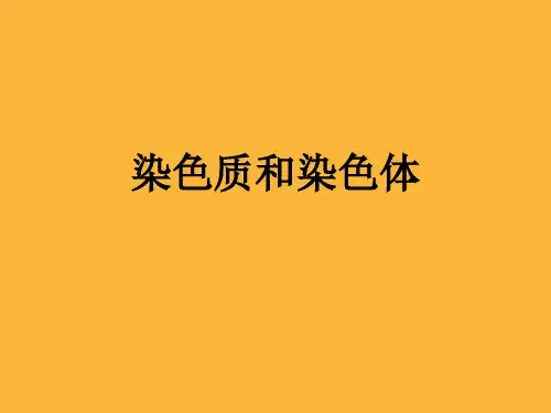 染色质和染色体