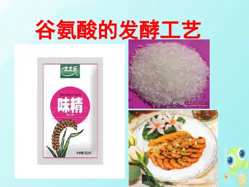 谷氨酸的发酵工艺一