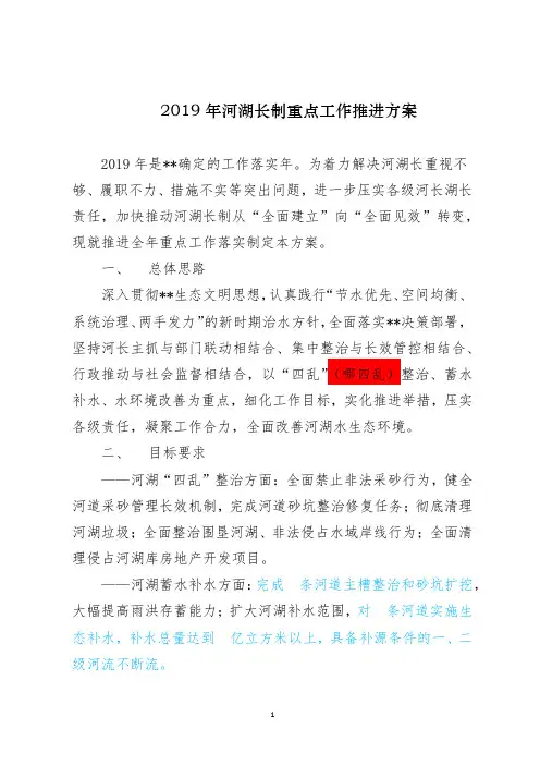 2019年河湖长制重点工作推进方案