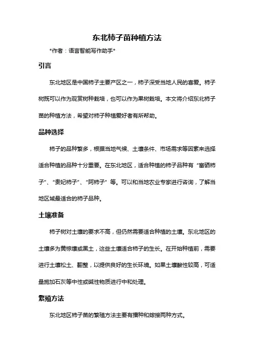 东北柿子苗种植方法