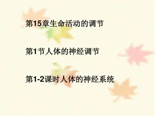 人体的神经调节ppt 苏科版