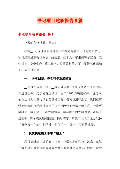 书记项目述职报告6篇