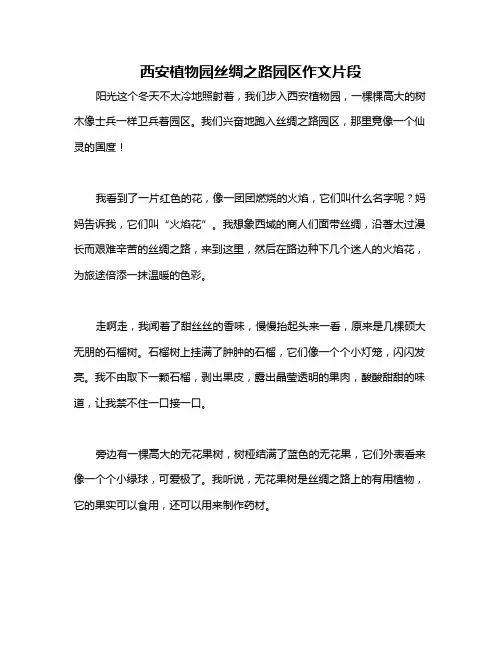 西安植物园丝绸之路园区作文片段