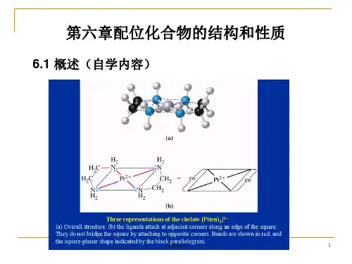 结构化学第六章课件
