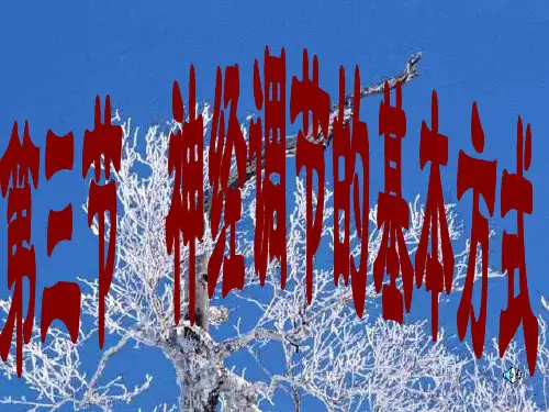反射弧