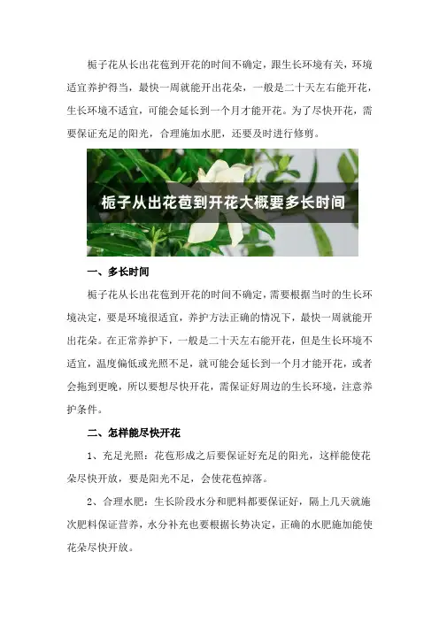 栀子从出花苞到开花大概要多长时间
