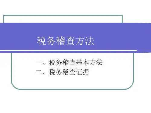 税务稽查方法.pptx
