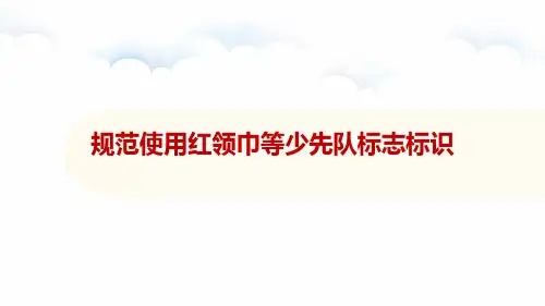 规范使用少先队标志礼仪