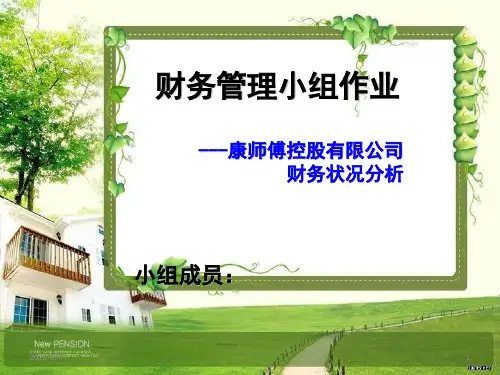 康师傅财务分析报告