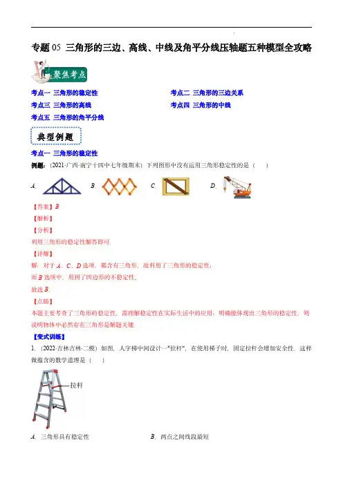 2024届中考数学压轴(湘教版)专题05 三角形的三边、高线、中线及角平分线压轴题五种模型(解析版)