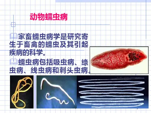 动物蠕虫病课件