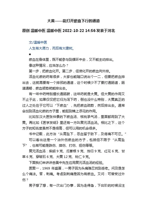 大黄——能打开瘀血下行的通道