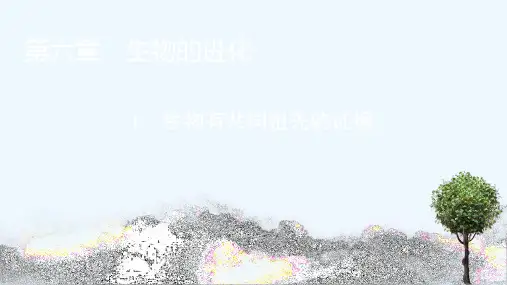2020_2021学年新教材高中生物第6章生物的进化1生物有共同祖先的证据课件新人教版必修2