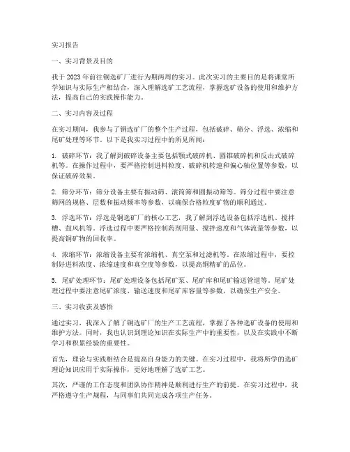铜选矿厂实习报告