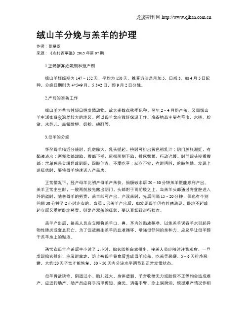 绒山羊分娩与羔羊的护理