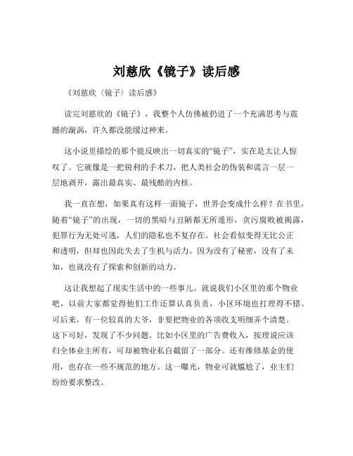 刘慈欣《镜子》读后感