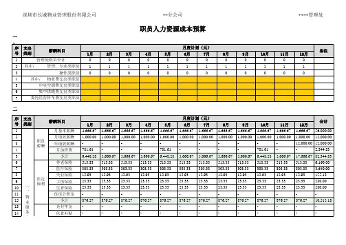 人力资源成本预算表 
