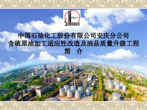 炼化一体化项目工程概况PPT课件