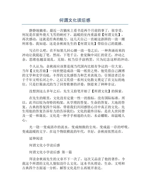 何谓文化读后感