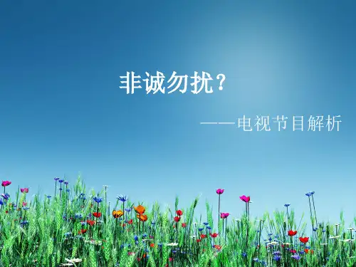 《非诚勿扰》节目分析ppt下载