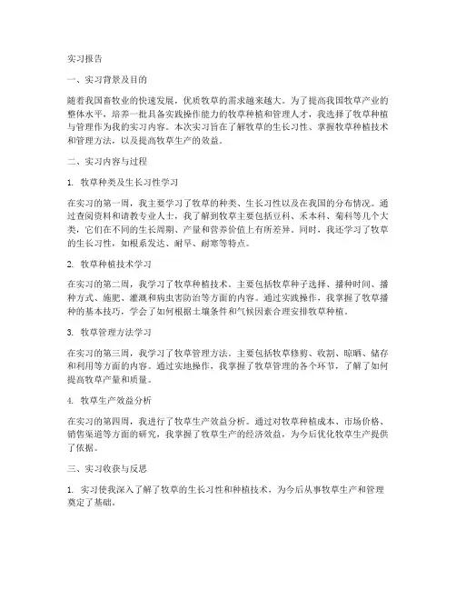 牧草实习报告