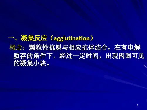 《凝集反应双扩》PPT课件