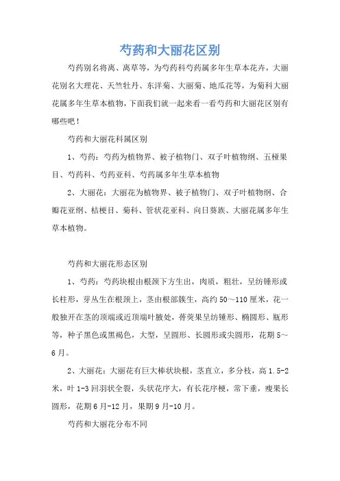 芍药和大丽花区别