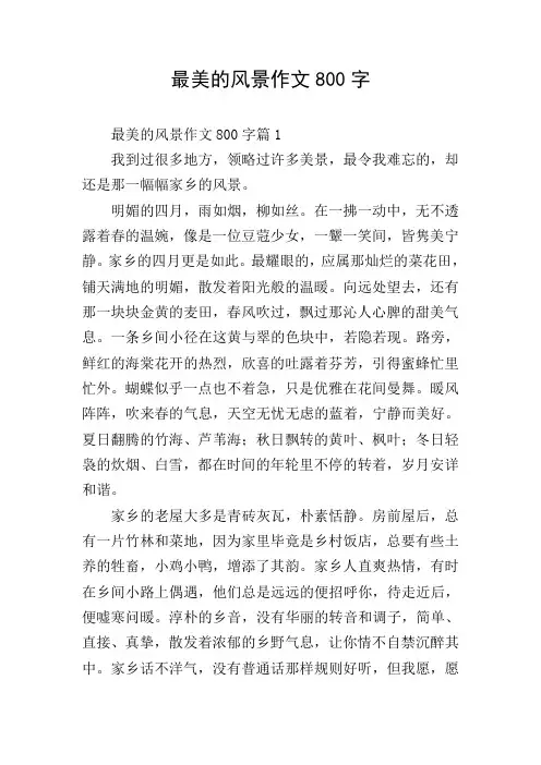 最美的风景作文800字