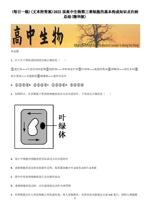 (文末附答案)2022届高中生物第三章细胞的基本构成知识点归纳总结(精华版)