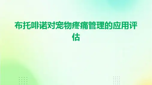 布托啡诺对宠物疼痛管理的应用评估