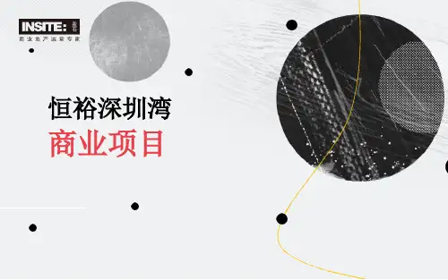 恒裕深圳湾项目商业市场及竞品项目分析(202008)