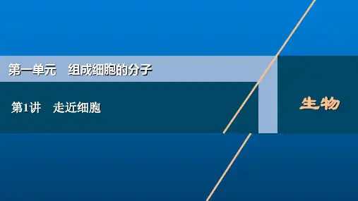 新高考生物人教一轮总复习课件第一单元第1讲走近细胞