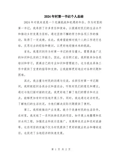 2024年村第一书记个人总结