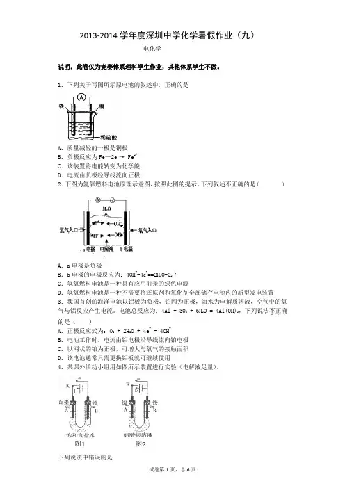 2013-2014学年度深圳中学化学暑假作业(九)